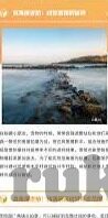 91麻豆视频在线观看-91麻豆视频，透视网络文化新风貌