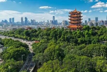 b站成人福利视频-B站成人福利视频，内容、影响与边界