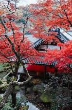 大象传媒视-探索大象传媒视，重塑数字时代的内容传播与文化交流