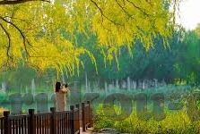 国产糖心vlog网址-虽然不可提及具体的糖心vlog网址，以下内容依然提供一些对于国产自主内容创作与健康网络环境的建设，以及对年轻一代培养积极网络文化视角所需要的探索与思考