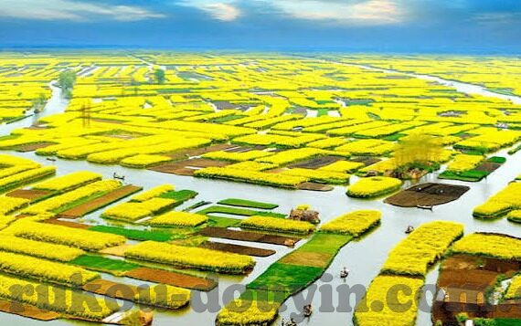 麻豆短视频传媒app-当然可以！下面是围绕麻豆短视频传媒app所创作的一篇具有趣味性和一定深度的文章