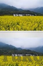 麻豆亚洲av-打破幻象，探讨网络片商及其背后的真实影响