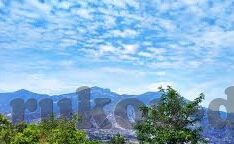 麻豆影视文化传媒有限公司-麻豆影视，文化传媒的新锐篇章