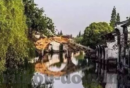 熟女中文字幕-熟女魅力，中文字幕下的情感细腻与人生智慧