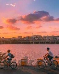 糖心vlog 京东-糖心vlog，京东的幕后视角与消费者互动新体验